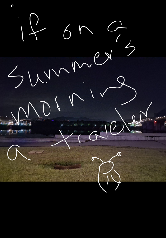 If On A Summer's Morning A Traveler 2