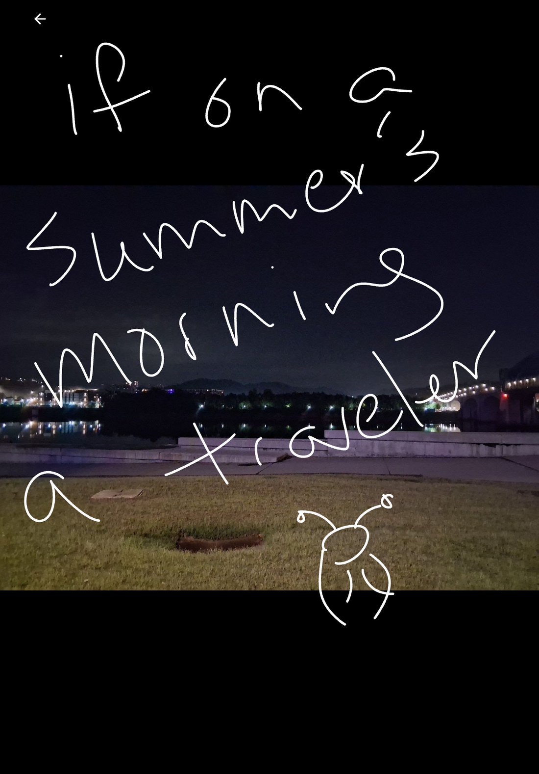 If On A Summer's Morning A Traveler 1